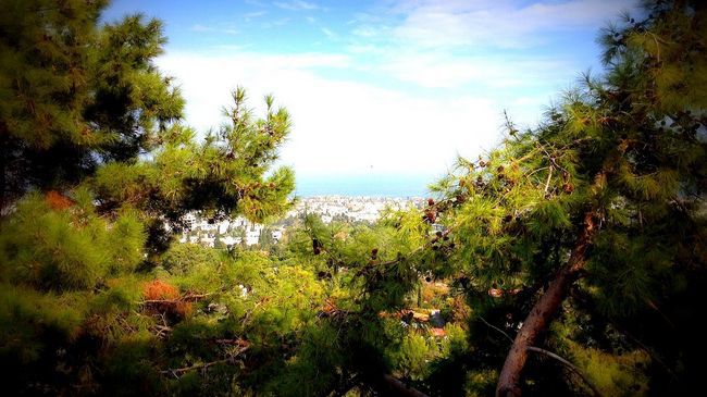 Onar Village Kyrenia  Eksteriør billede