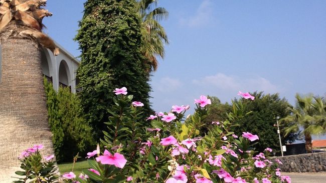 Onar Village Kyrenia  Bekvemmeligheder billede